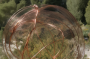 bases:fabnum:workshop:murmures-electromagnetiques:aiantenna:00010-1693159298.png